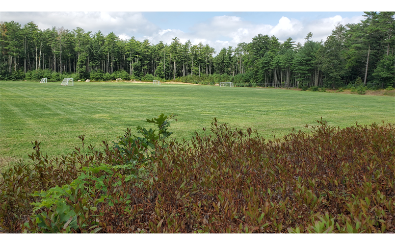 WYSC Soccer Fields